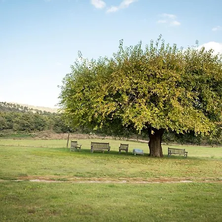 Apartamento Agriturismo Poderaccio&collina Verde